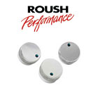 Armaturenteile von Roush Performance